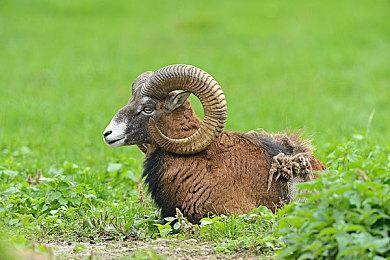 EA：和漫威的合作得益于之前《星战》游戏的成功